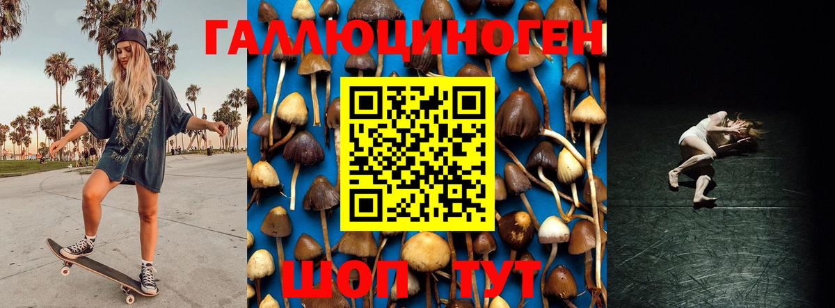 Магадан  Галлюциногенные грибы ЛСД  Вход с VPN  что такое   Галлюциногенные грибы Psilocybe 